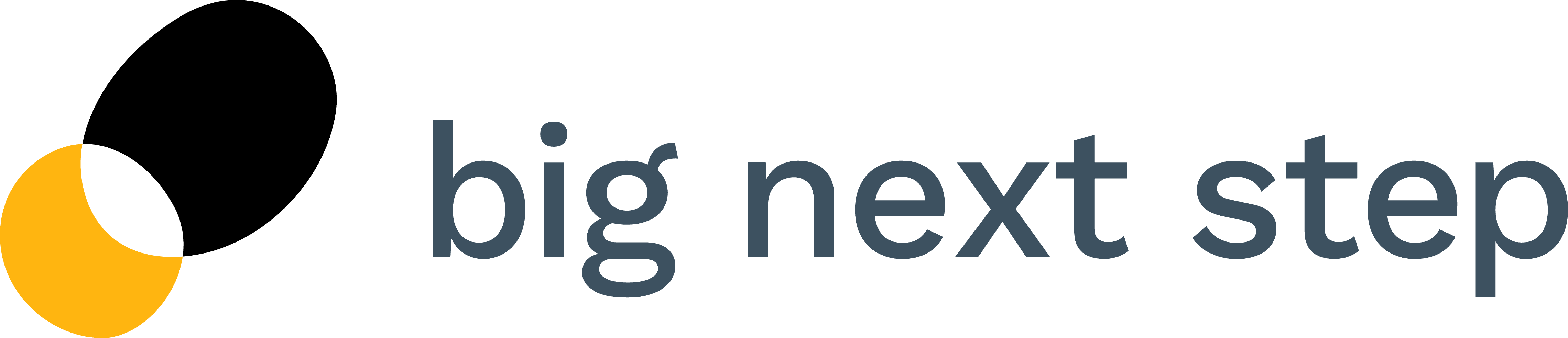 bignextstep-logo.png